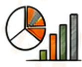 Pie and bar charts representing aggregated data